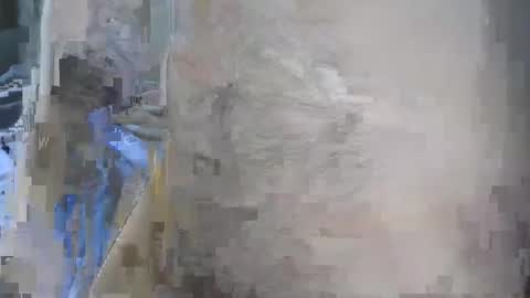 panty_fetish07 online show from December 14, 2:21 pm