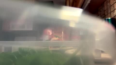 PapaBoner online show from September 20, 9:15 pm