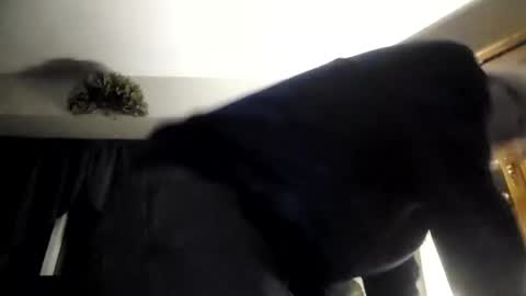 part86 online show from January 26, 3:38 am