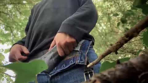 passifhot3 online show from September 29, 1:41 pm