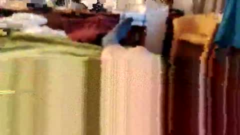 pastelka1974 online show from September 22, 5:18 am