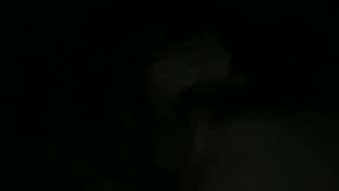 htxdude8 online show from May 19, 3:35 am