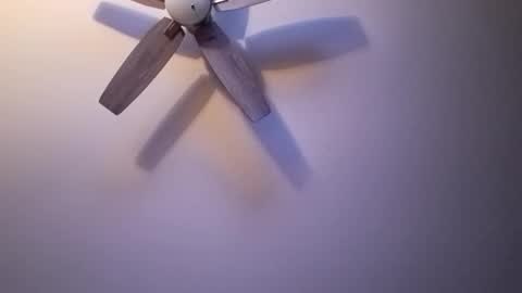 patrick247288 online show from January 17, 3:45 am