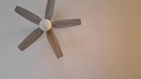 patrick247288 online show from January 12, 9:40 pm