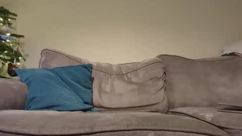 pugwall22 online show from December 16, 8:05 pm