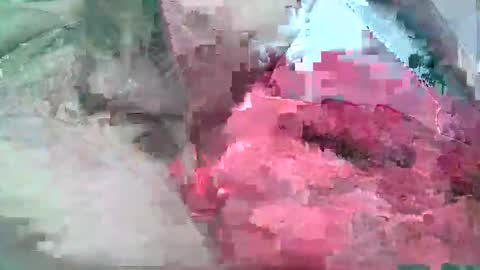 paulgrenoble online show from May 7, 9:37 pm