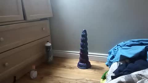 perdz768563 online show from March 22, 11:32 pm