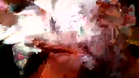 perfecto337 online show from December 6, 6:50 pm