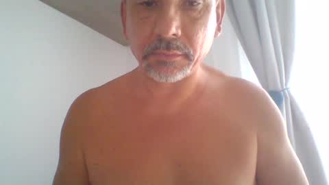 pet09 online show from June 23, 2:43 pm