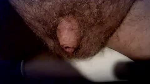 peterpeteropoulos online show from September 20, 7:58 pm