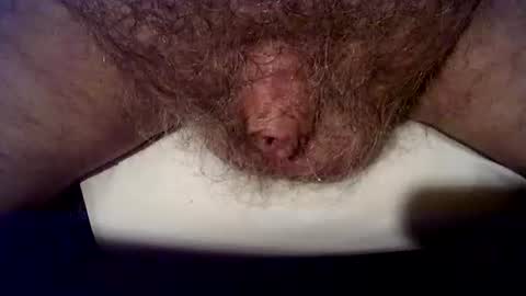 peterpeteropoulos online show from September 27, 8:17 pm