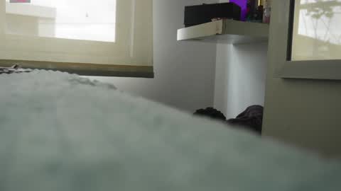 Snapshot of pettercat chatting on January 5, 6:24 pm Pettercat online show from January 5, 6:24 pm