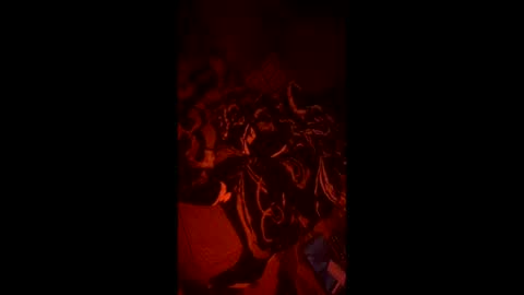 philmemore online show from January 8, 1:44 am