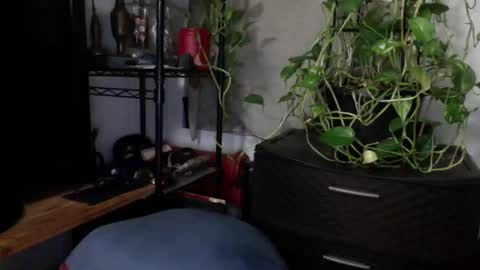 BEDBULL online show from January 12, 3:07 am