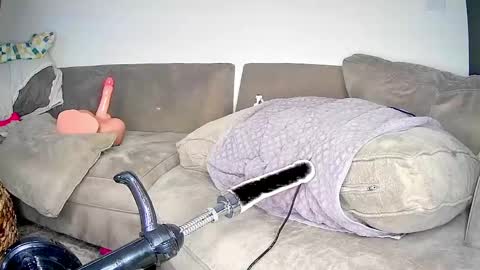 StraightJockFirstAnal online show from April 25, 9:23 am