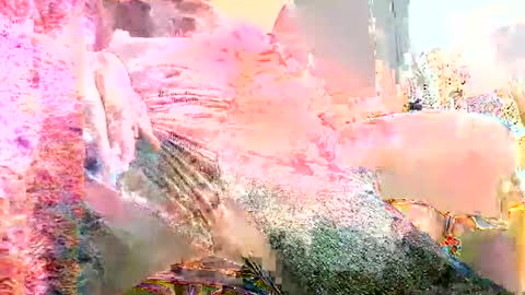 pleasir online show from December 28, 10:36 am