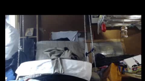 Plumerialba online show from December 29, 9:28 am