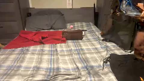 popfizzt online show from December 15, 9:53 pm