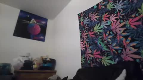 Snapshot of presidentialbryana chatting on September 13, 2:45 am Libra Lamont online show from September 13, 2:45 am