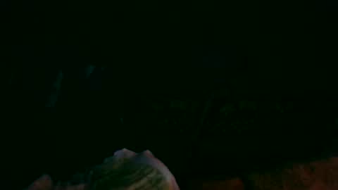 prikryljan02 online show from November 23, 4:07 pm