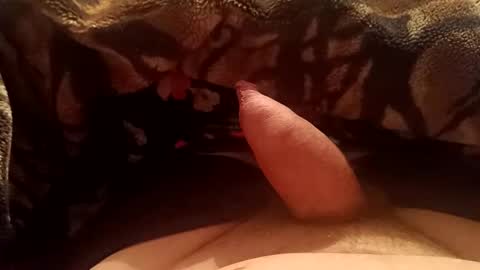 prinztobias30 online show from November 20, 10:30 pm