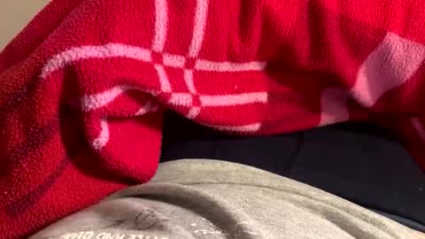 privat2025 online show from February 1, 8:29 pm