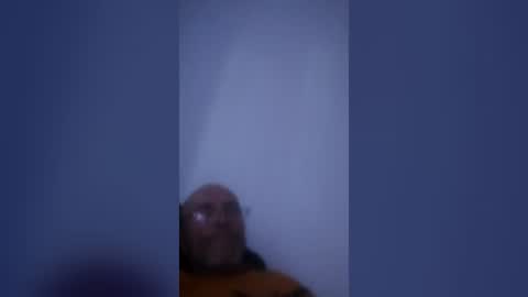 projektzeibsch online show from July 19, 6:36 pm