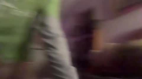 Pugnax online show from April 14, 7:08 am