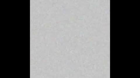 pupchevron online show from November 13, 9:47 am