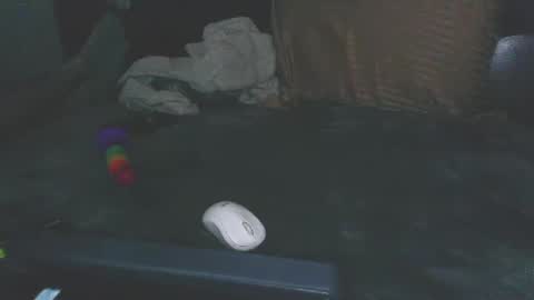 Puppah626  Phoenyx 39s Room online show from January 16, 10:53 am