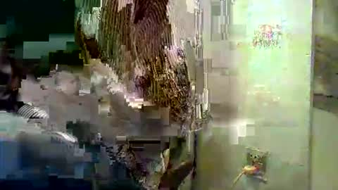 rakulgee1 online show from March 24, 6:07 am