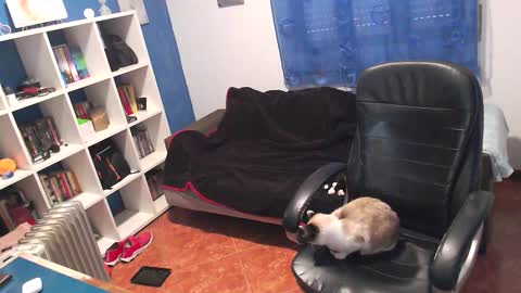 ravingr3d3 online show from December 5, 10:00 am