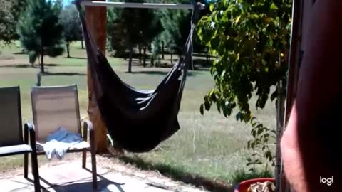 ready4aride2day online show from October 5, 5:06 pm