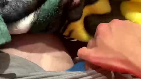 realbigload77 online show from October 11, 2:37 am