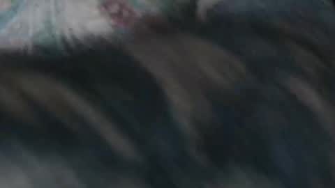 realrubpirate online show from January 18, 9:44 am