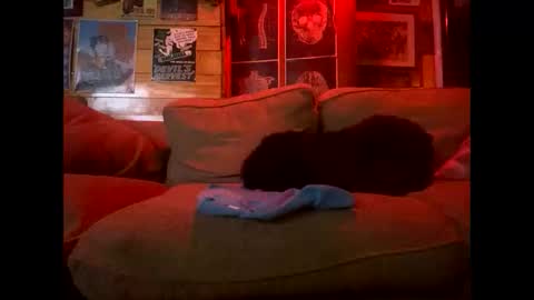 Lee online show from October 15, 3:36 am