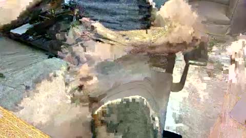 Snapshot of reliad chatting on January 31, 1:56 pm Gabriel big online show from January 31, 1:56 pm