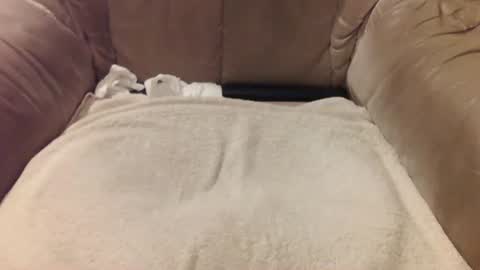 Mark online show from March 4, 2:06 am