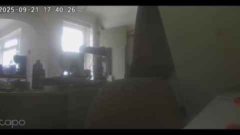 reza240782 online show from September 21, 4:40 pm