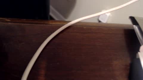 Snapshot of rh1429 chatting on February 17, 1:10 pm Trae online show from February 17, 1:10 pm