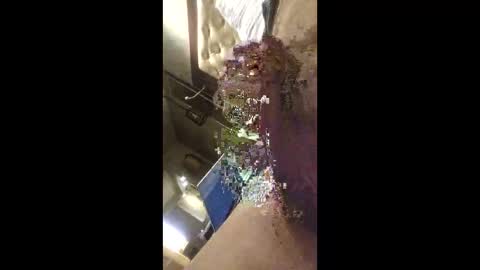 rich7665 online show from April 26, 4:59 pm