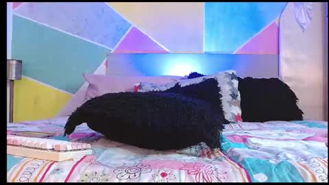 rich and kitty  online show from February 3, 6:40 am