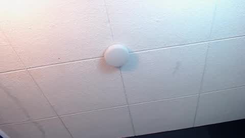 Ricardo online show from February 7, 2:24 pm