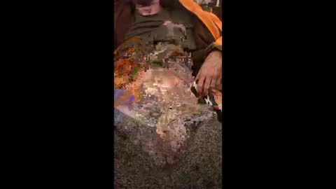 rise_to_the_occasion online show from December 15, 3:58 am