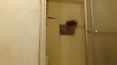 Snapshot of robertsaiz4200 chatting on October 24, 3:41 am robertsaiz4200 online show from October 24, 3:41 am