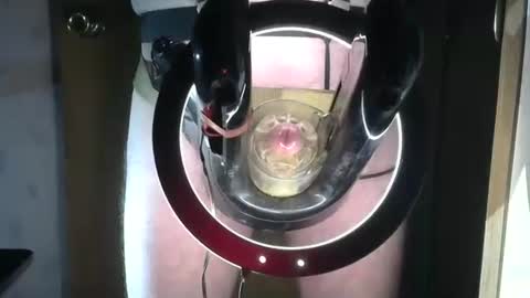 Robodickmilker online show from September 9, 10:41 pm