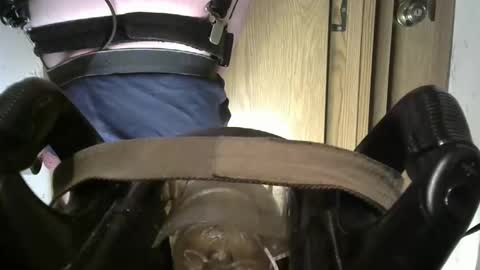 Robodickmilker online show from March 12, 7:06 pm