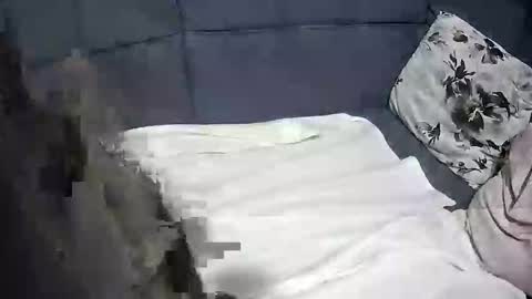 roccosan online show from October 4, 6:24 pm