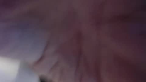 Snapshot of rockhardoldfart chatting on January 8, 7:13 pm Cum in your mouth online show from January 8, 7:13 pm