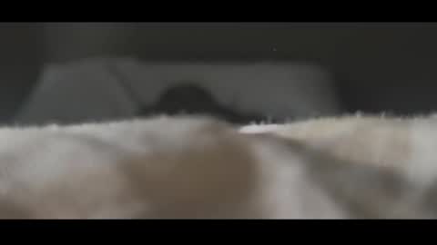 Roew666 online show from November 4, 7:59 pm